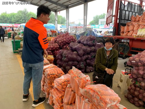 青蒜苗销售调研与初步协议促成农副产品销售新突破