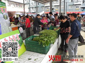 南环桥农副产品批发市场积极探索社区直销模式，助力农副产品销售创新