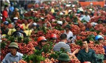 八喜大集助力农产销售，金秋丰收季瓜果更香甜