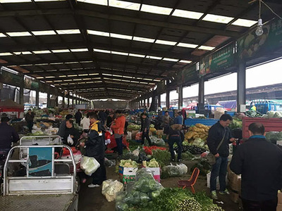 徐州农副产品中心批发市场 蔬果价格走势分析，有升有降稳中求变